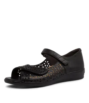 slow walk Pure Black Daffodil-W