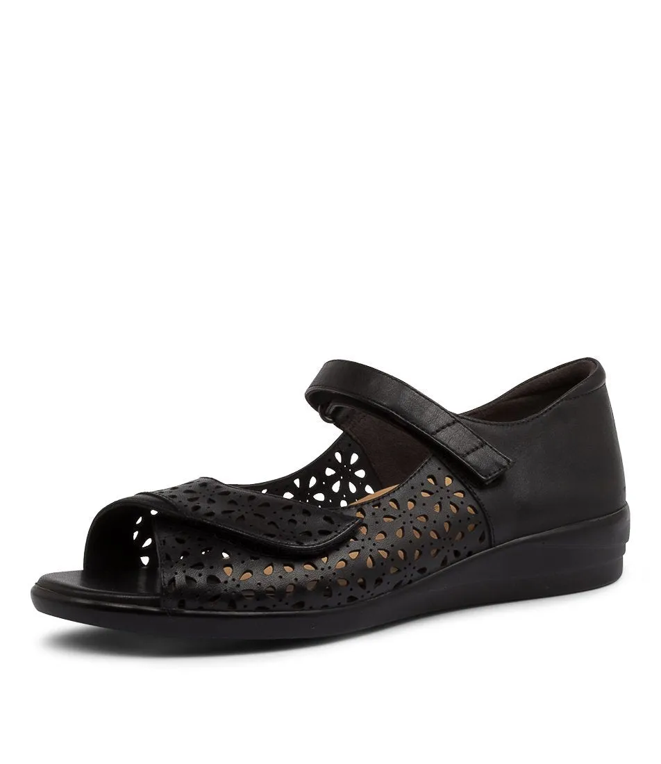 slow walk Pure Black Daffodil-W