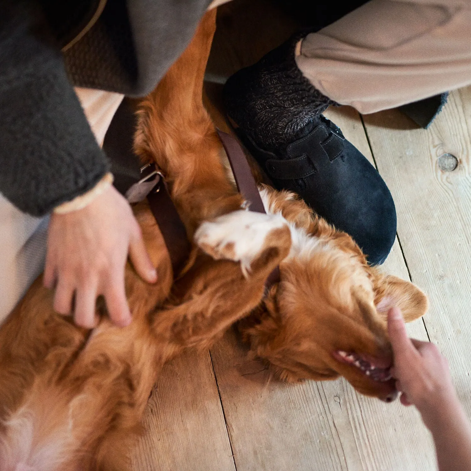 Boston Shearling | Suede | Black Classic Look Boots